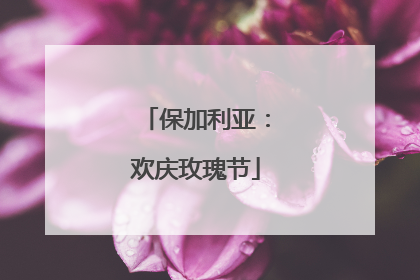 保加利亚：欢庆玫瑰节