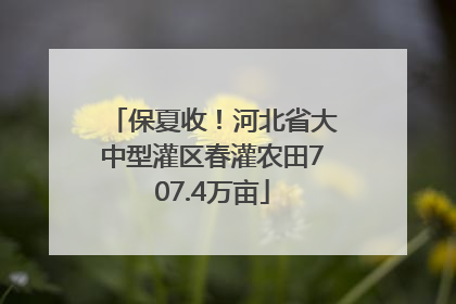 保夏收！河北省大中型灌区春灌农田707.4万亩