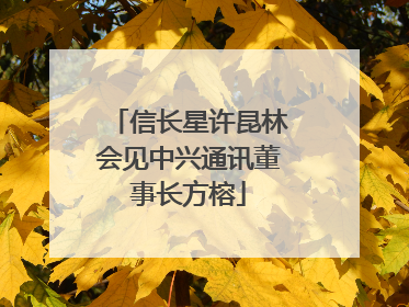 信长星许昆林会见中兴通讯董事长方榕