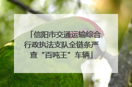 信阳市交通运输综合行政执法支队全链条严查“百吨王”车辆