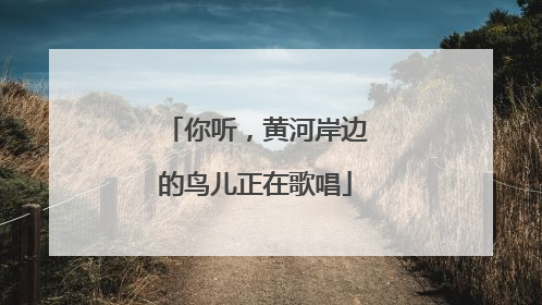 你听，黄河岸边的鸟儿正在歌唱