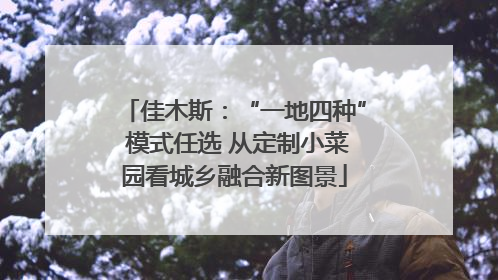 佳木斯：“一地四种” 模式任选 从定制小菜园看城乡融合新图景
