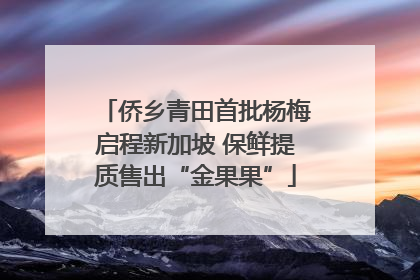 侨乡青田首批杨梅启程新加坡 保鲜提质售出“金果果”