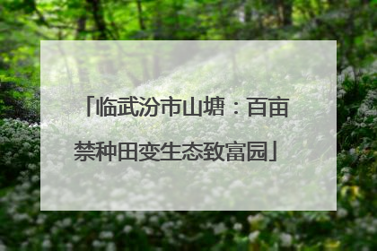 临武汾市山塘：百亩禁种田变生态致富园