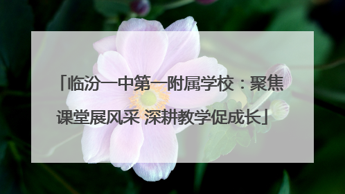 临汾一中第一附属学校：聚焦课堂展风采 深耕教学促成长