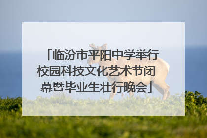 临汾市平阳中学举行校园科技文化艺术节闭幕暨毕业生壮行晚会