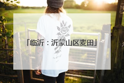 临沂：沂蒙山区麦田