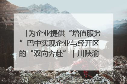 为企业提供“增值服务”巴中实现企业与经开区的“双向奔赴”｜川陕渝网络名人巴中行