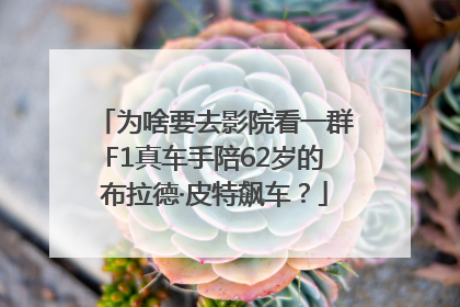 为啥要去影院看一群F1真车手陪62岁的布拉德·皮特飙车？