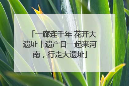 一廊连千年 花开大遗址丨遗产日一起来河南，行走大遗址