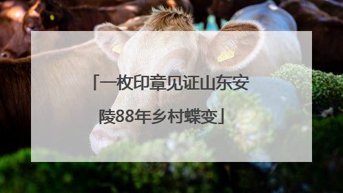 一枚印章见证山东安陵88年乡村蝶变