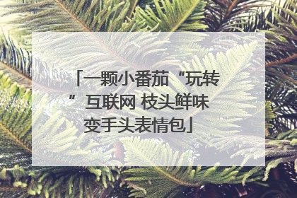 一颗小番茄“玩转”互联网 枝头鲜味变手头表情包