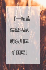 一颗蓝莓盘活昆明东川尾矿困局