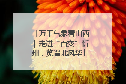 万千气象看山西｜走进“百变”忻州，览晋北风华