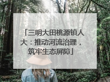 三明大田桃源镇人大：推动河流治理，筑牢生态屏障