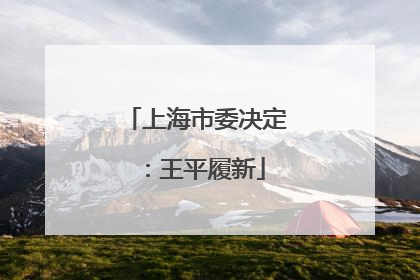 上海市委决定：王平履新