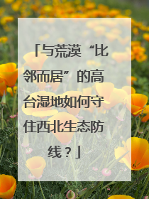 与荒漠“比邻而居”的高台湿地如何守住西北生态防线？