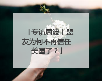 专访周波丨盟友为何不再信任美国了？