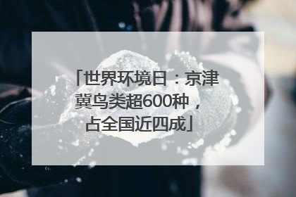 世界环境日：京津冀鸟类超600种，占全国近四成