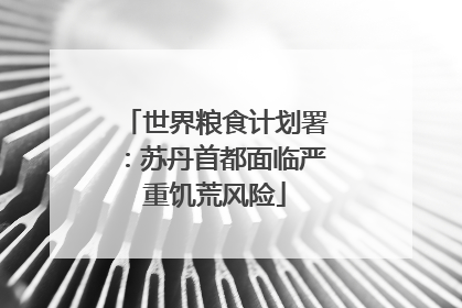 世界粮食计划署：苏丹首都面临严重饥荒风险