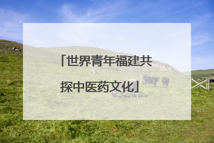 世界青年福建共探中医药文化