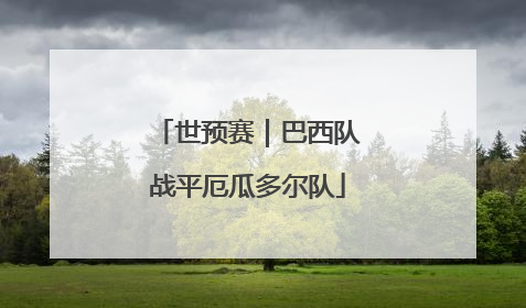 世预赛｜巴西队战平厄瓜多尔队