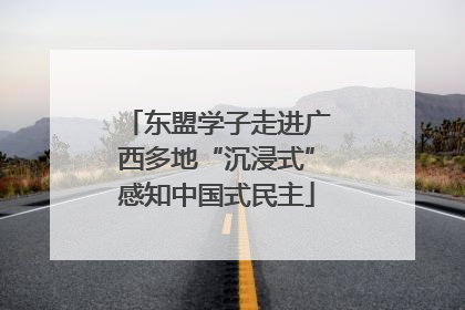 东盟学子走进广西多地“沉浸式”感知中国式民主