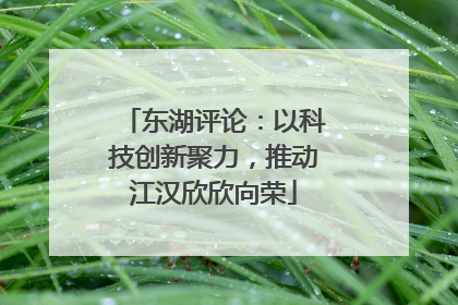 东湖评论：以科技创新聚力，推动江汉欣欣向荣