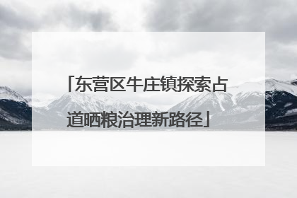 东营区牛庄镇探索占道晒粮治理新路径