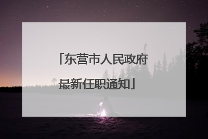 东营市人民政府最新任职通知