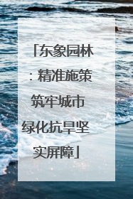 东象园林：精准施策 筑牢城市绿化抗旱坚实屏障
