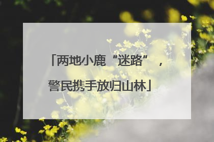 两地小鹿“迷路”，警民携手放归山林