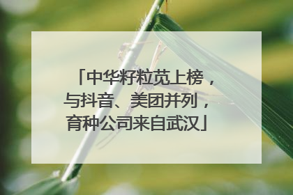 中华籽粒苋上榜，与抖音、美团并列，育种公司来自武汉
