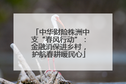 中华财险株洲中支“春风行动”：金融消保进乡村，护航春耕暖民心