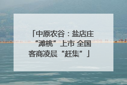 中原农谷：盐店庄“滩桃”上市 全国客商凌晨“赶集”