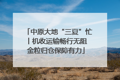 中原大地“三夏”忙丨机收运输畅行无阻 金粒归仓保障有力