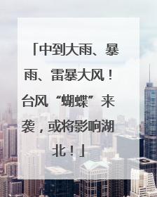 中到大雨、暴雨、雷暴大风！台风“蝴蝶”来袭，或将影响湖北！