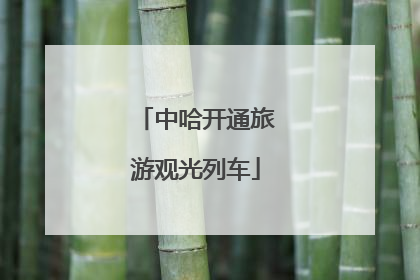 中哈开通旅游观光列车