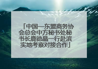 中国—东盟商务协会总会中方秘书处秘书长鹿德晶一行赴滨实地考察对接合作