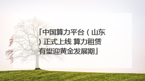 中国算力平台（山东）正式上线 算力租赁有望迎黄金发展期