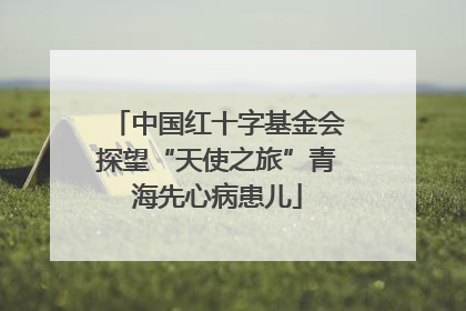 中国红十字基金会探望“天使之旅”青海先心病患儿