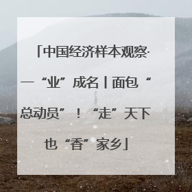 中国经济样本观察·一“业”成名丨面包“总动员”！“走”天下也“香”家乡
