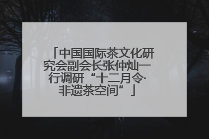 中国国际茶文化研究会副会长张仲灿一行调研“十二月令·非遗茶空间”
