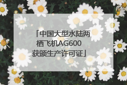 中国大型水陆两栖飞机AG600获颁生产许可证