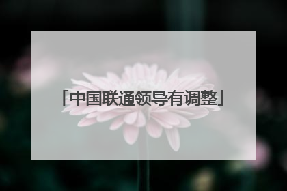 中国联通领导有调整
