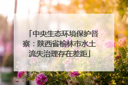中央生态环境保护督察：陕西省榆林市水土流失治理存在差距