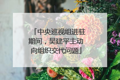 中央巡视组进驻期间，吴建平主动向组织交代问题