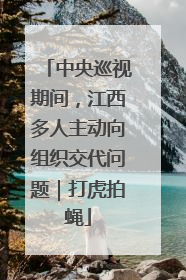 中央巡视期间，江西多人主动向组织交代问题｜打虎拍蝇