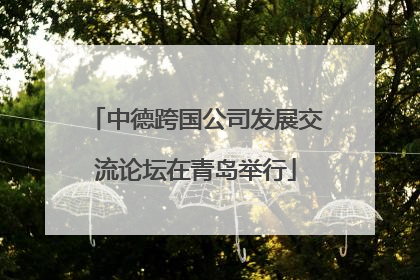 中德跨国公司发展交流论坛在青岛举行
