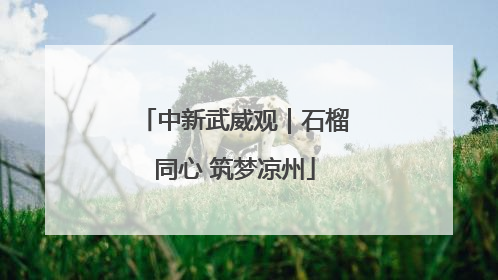 中新武威观｜石榴同心 筑梦凉州